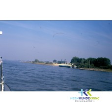 Rijn F00001716